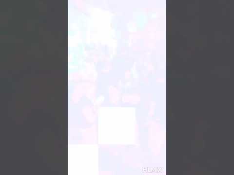 YouTube snimak